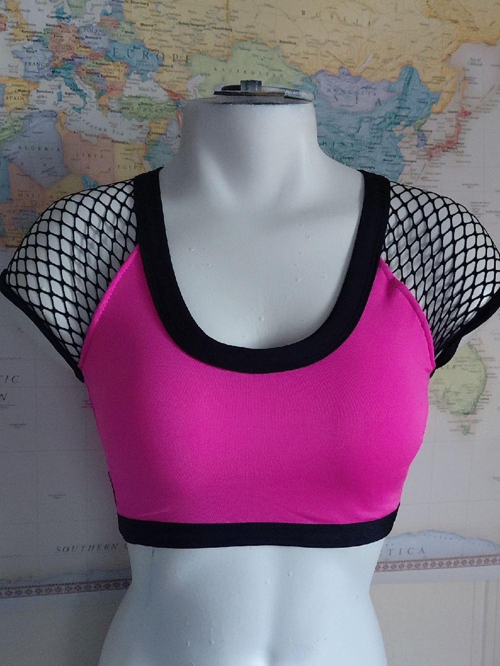 Bad Kitty Fishnet Crop Top